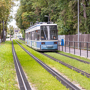 Green track Munich