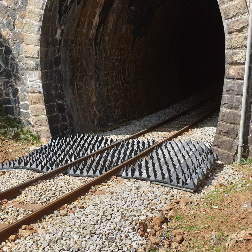 grid dans le tunnel